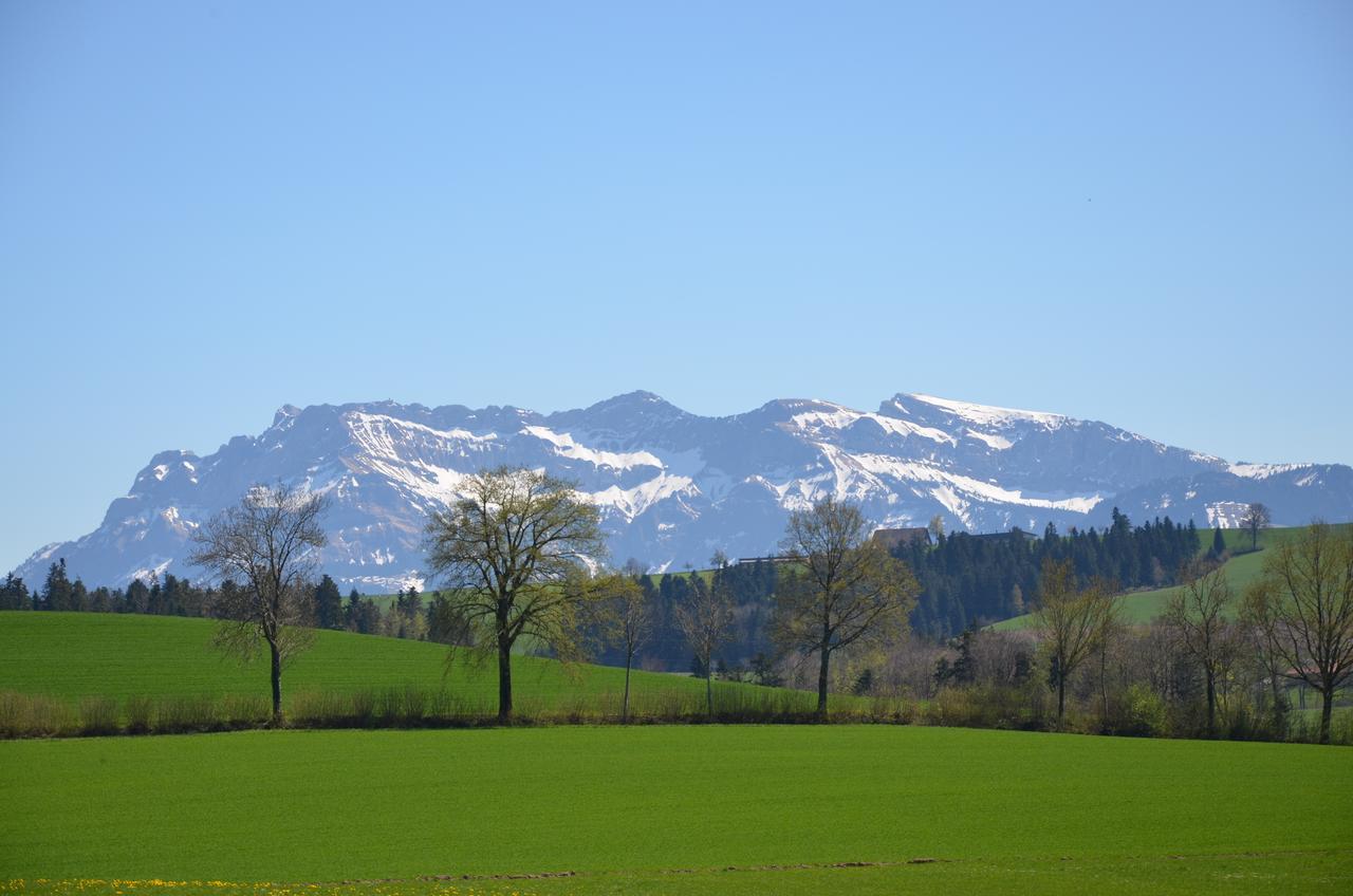 Friedau Nottwil