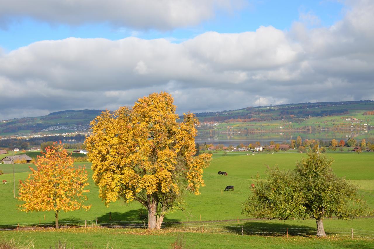 Bed & Breakfast Friedau Nottwil