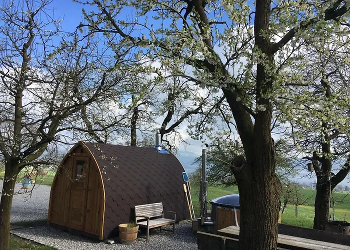 B&B Friedau